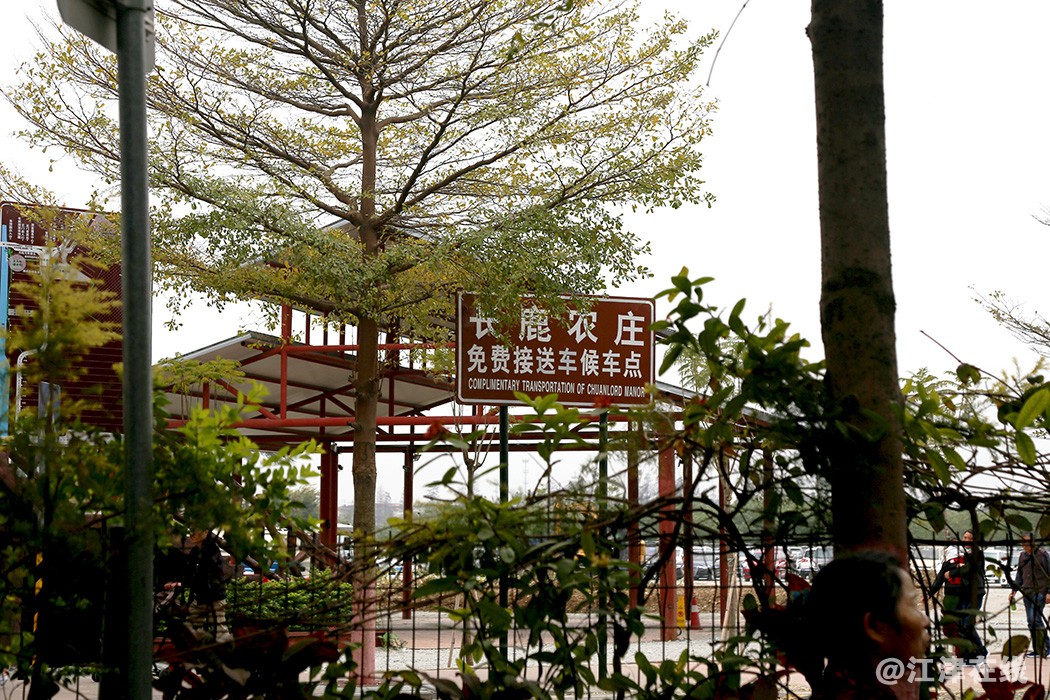 农 (1).jpg