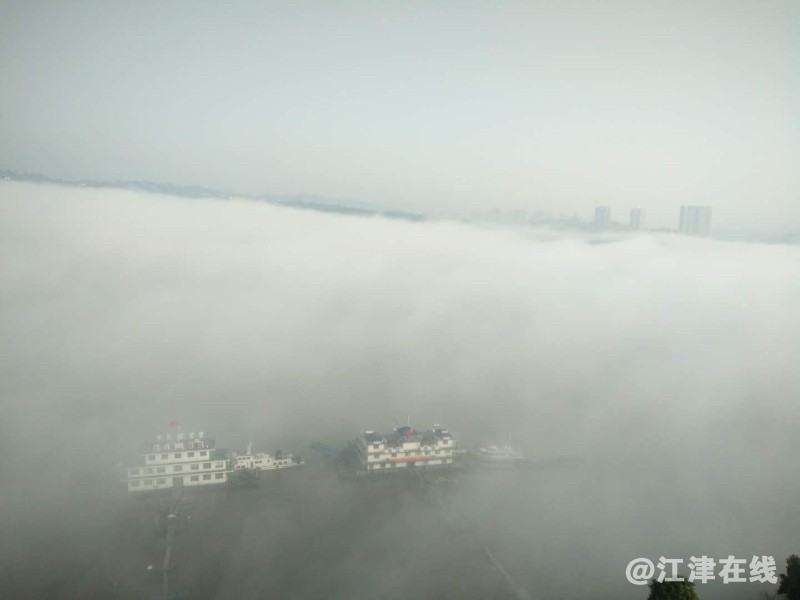 D65E8E15-5F5C-4423-8DAE-45284998E914.jpeg