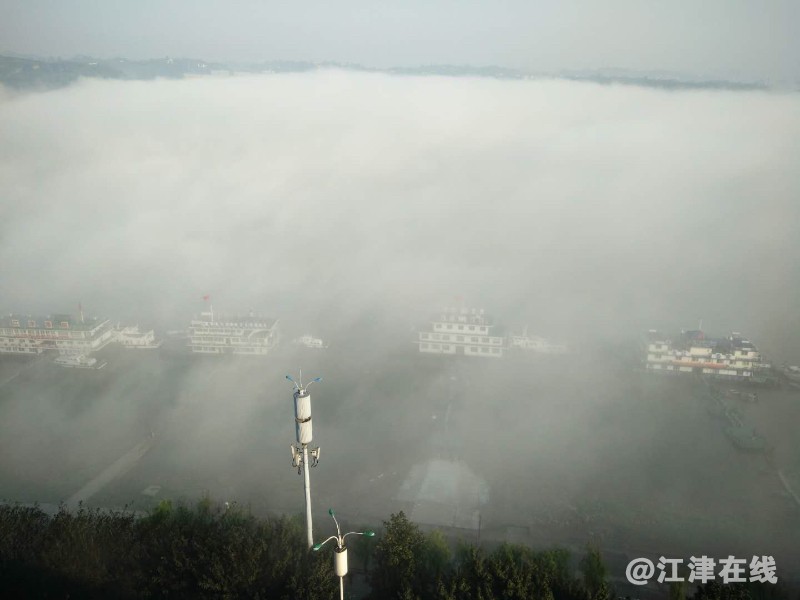 04911DE6-D859-4746-9E0D-AC62D11359C3.jpeg