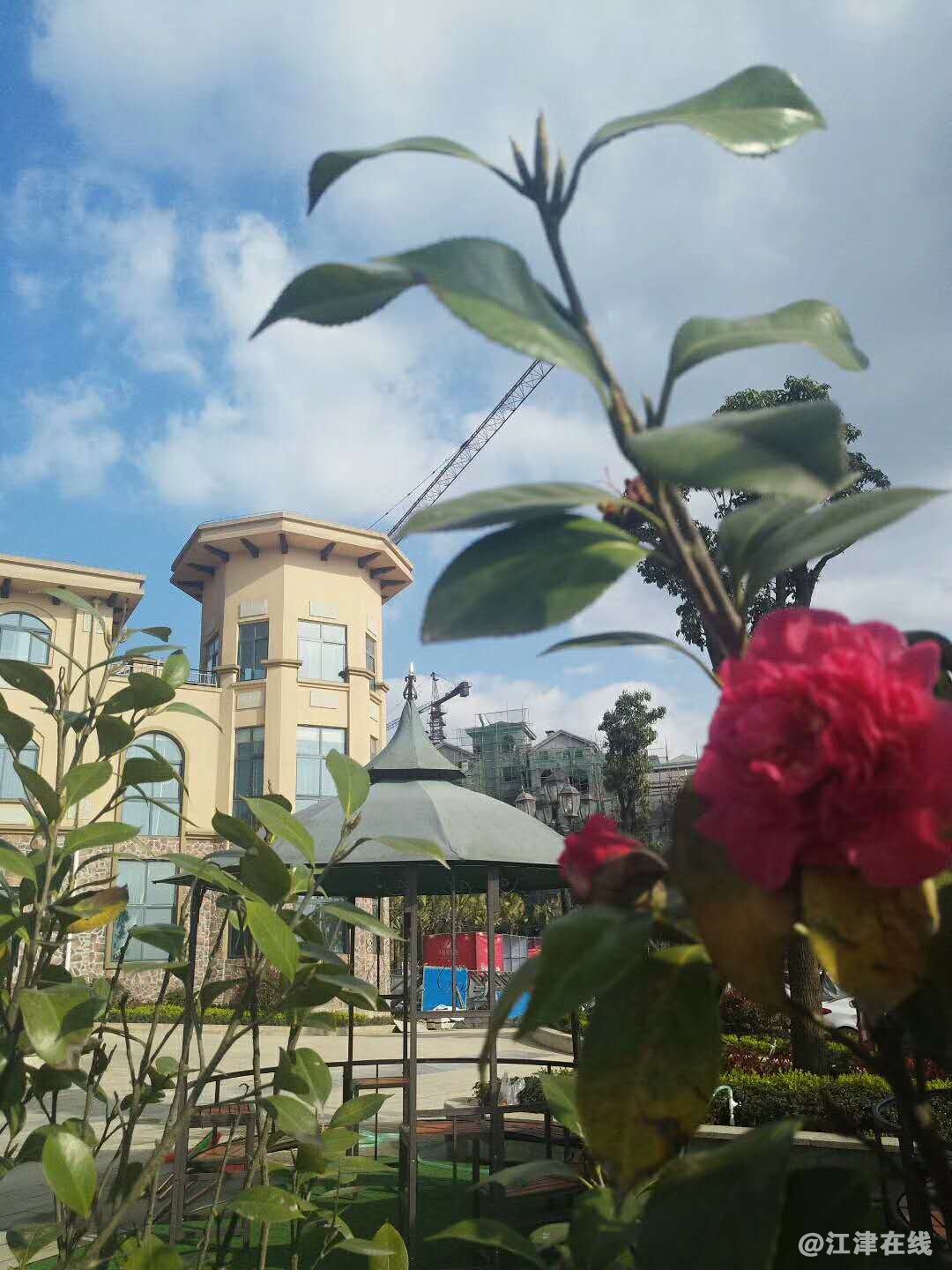 微信图片_20180331093554.jpg