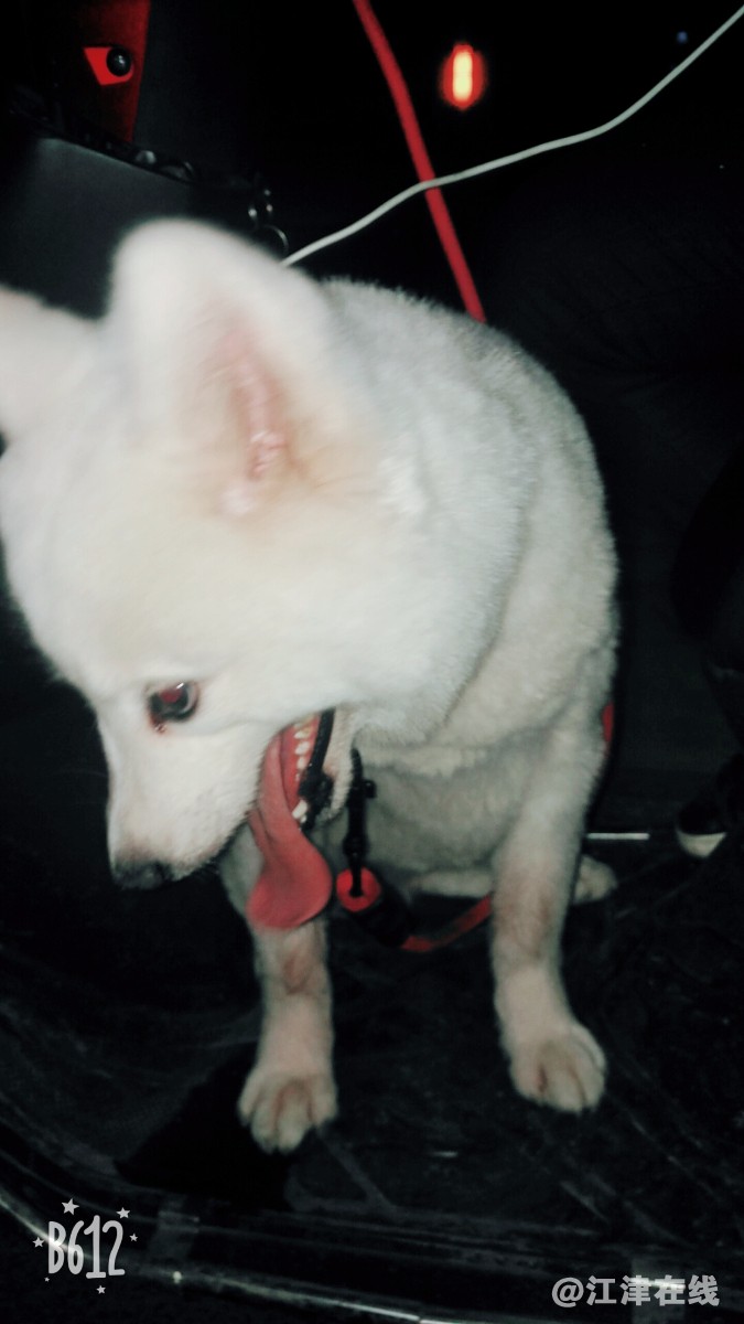 B612Kaji_20180329_194819.jpg
