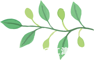 9f8e2e61e601be3e8bfb12c9466f9bd8-sz_20535.jpg