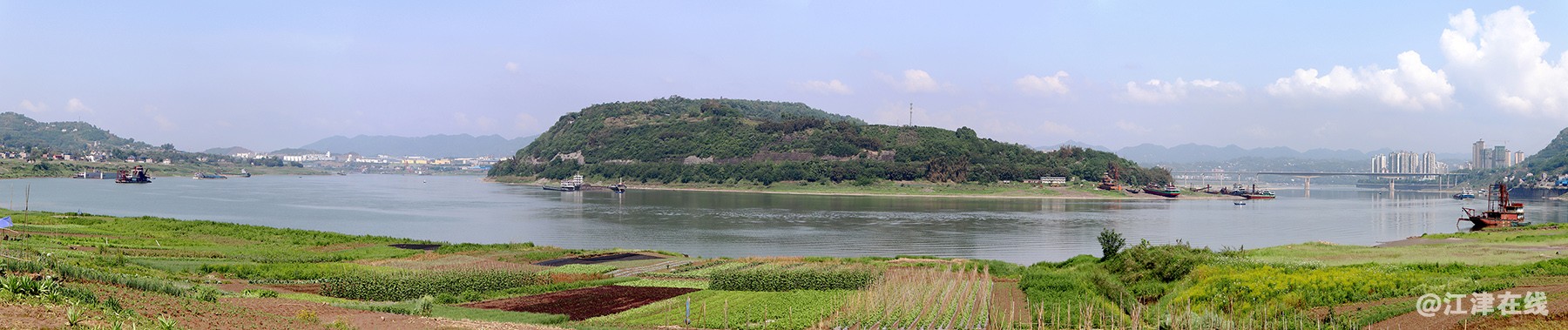去龙华路上观 (4).jpg