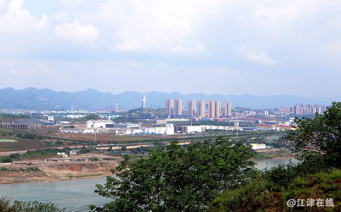 去龙华路上观 (6).jpg