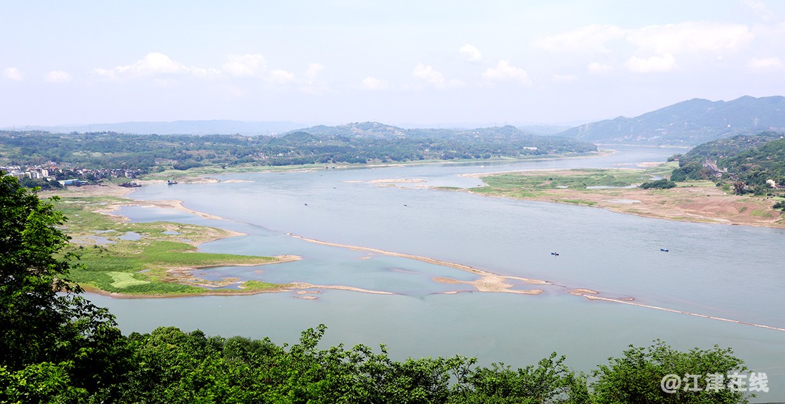 去龙华路上观 (10).jpg