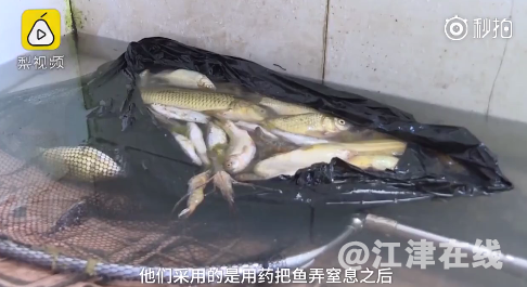 QQ截图20180420092136.png