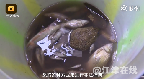 QQ截图20180420092147.png