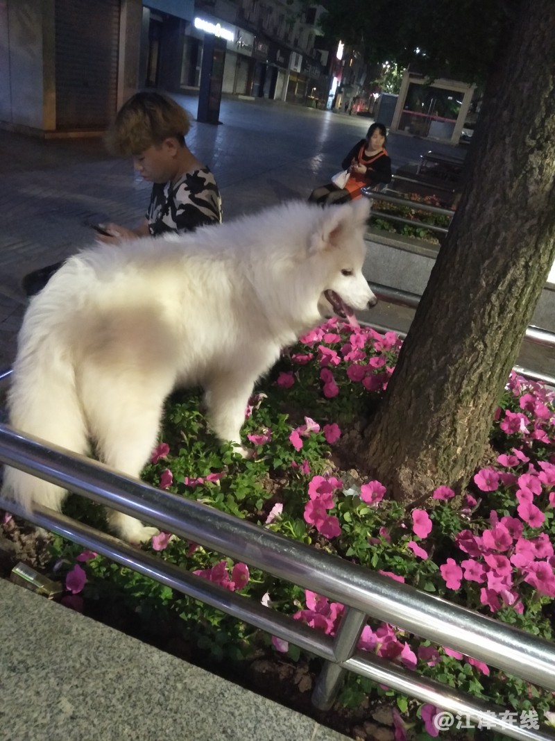 IMG20180411231411.jpg