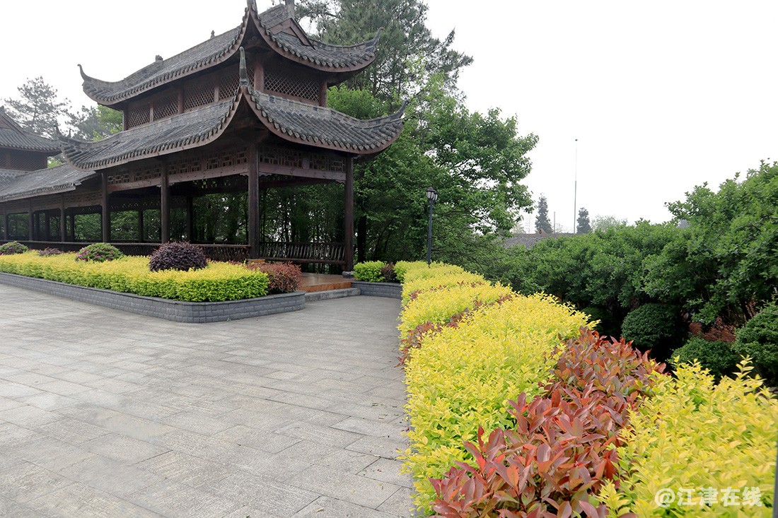 九锅箐森林公园 (10).jpg