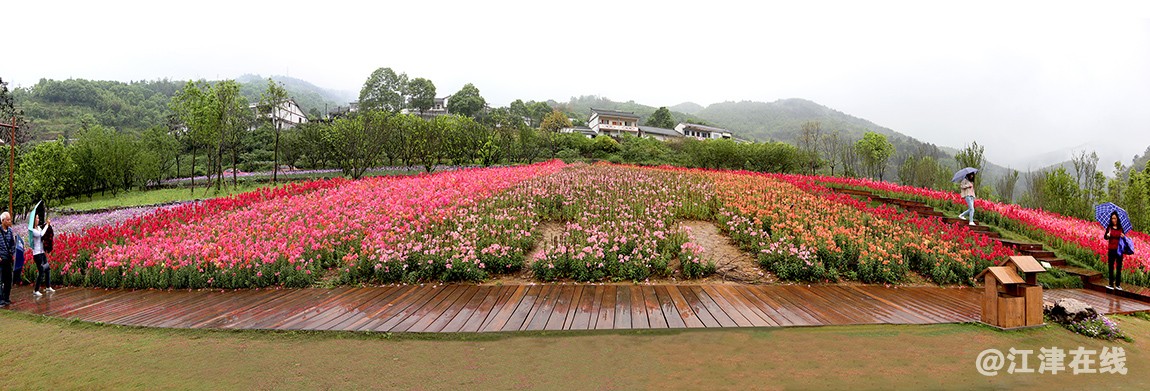 鱼子村 (6).jpg