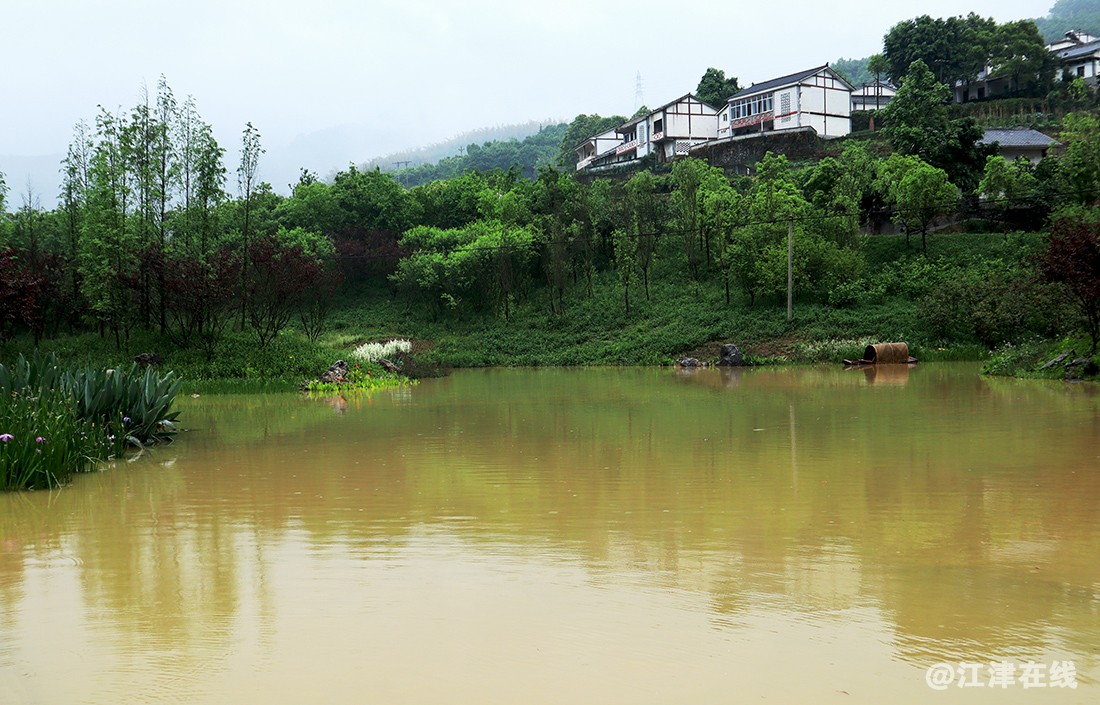 鱼子村 (35).jpg
