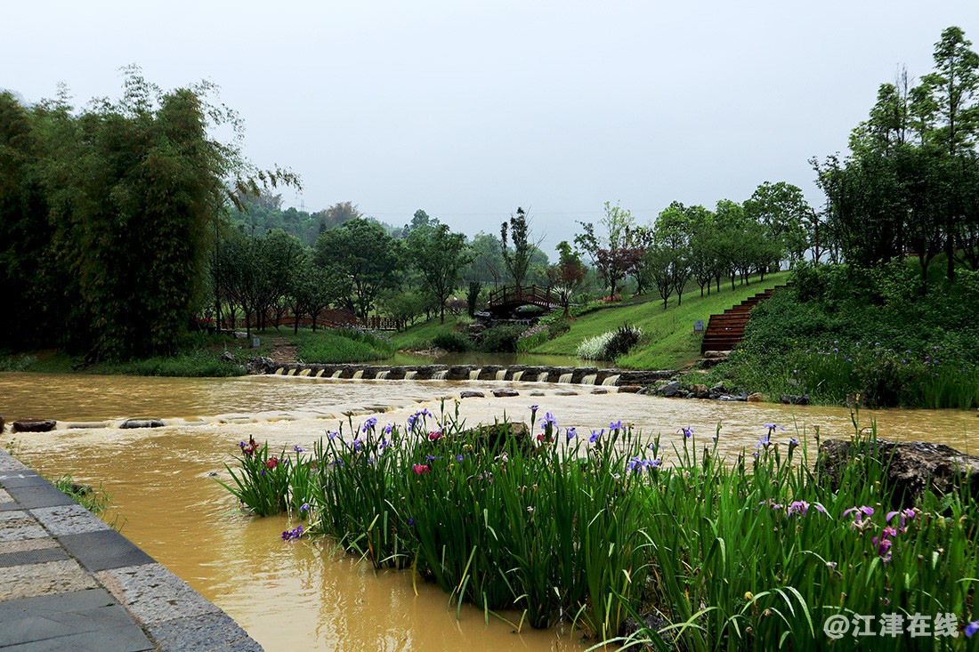 鱼子村 (37).jpg