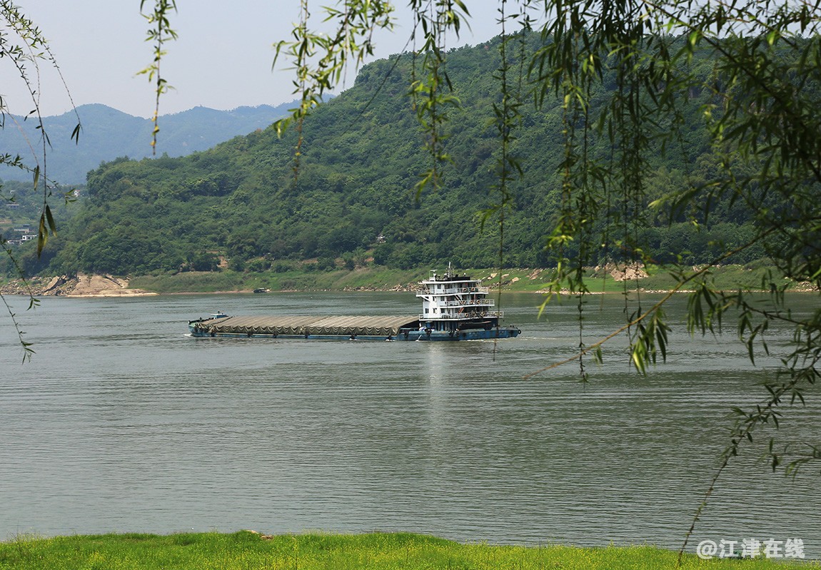 河边草 (13).jpg