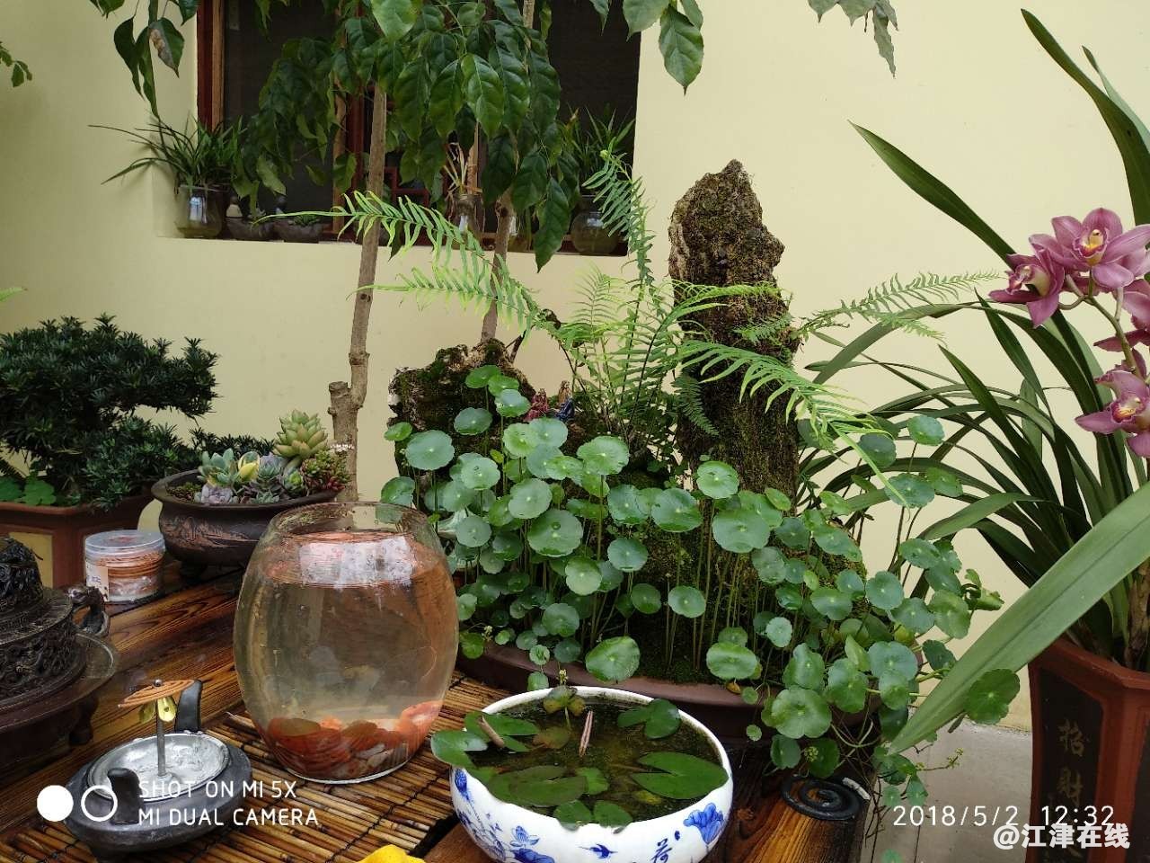 20180503_65865_1525311489552.jpg