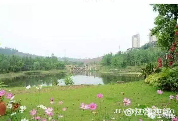 QQ截图20180508095640.png