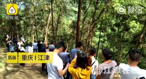 QQ截图20180509093105.png