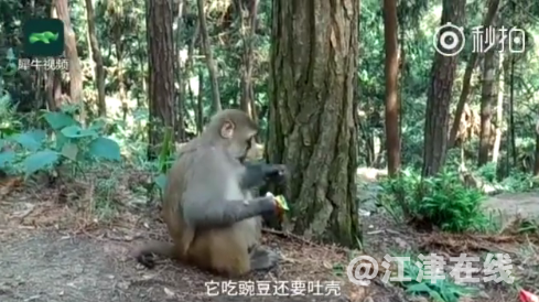 QQ截图20180509093130.png