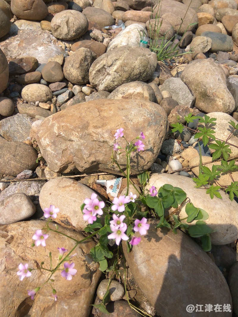 IMG_20180508_105058.jpg