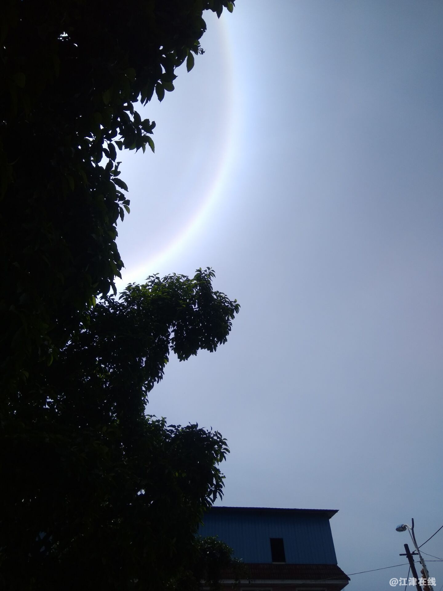 -107c65d48bdd2cc7.jpg
