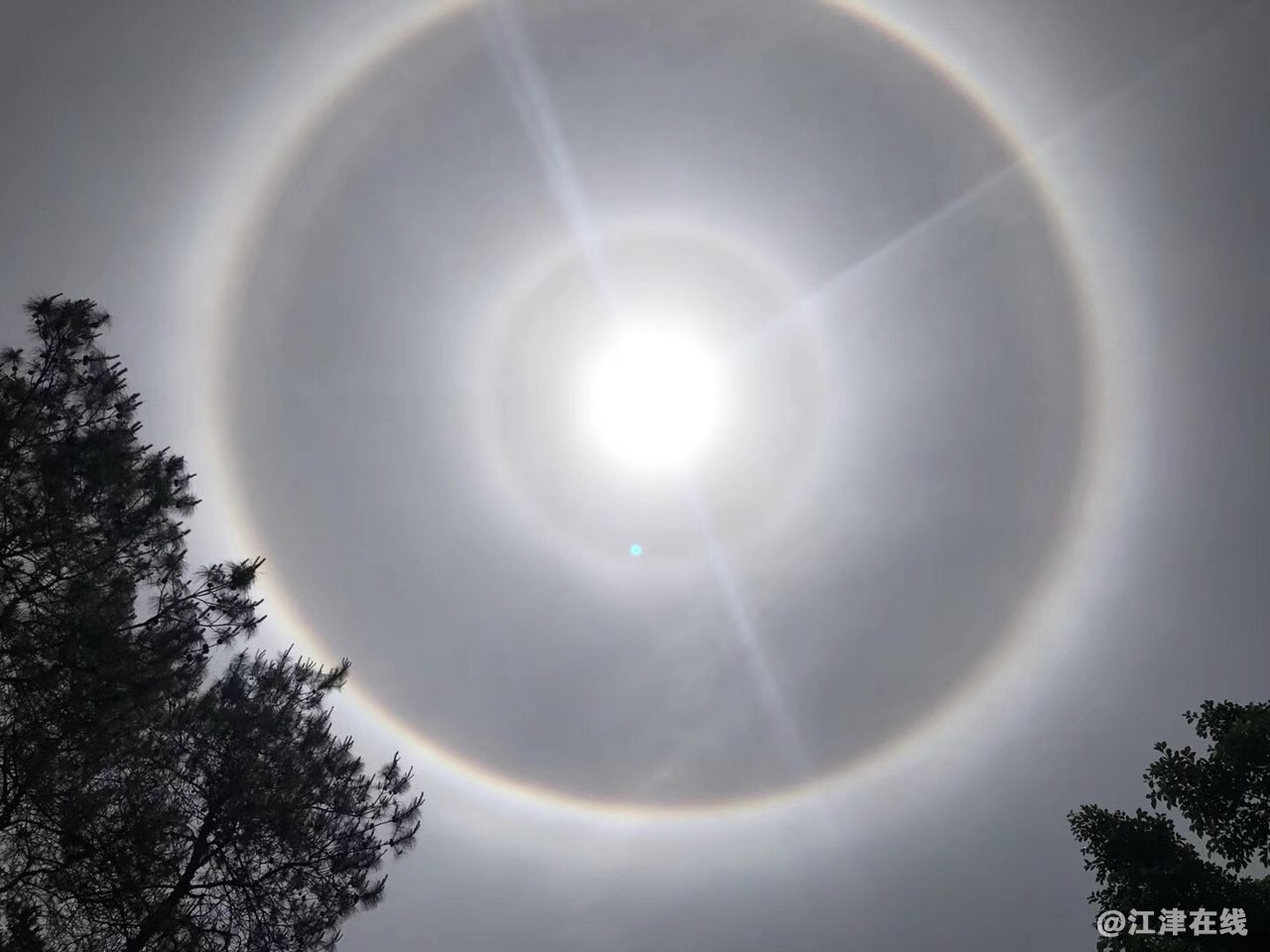2018051351161526183730728688.jpg