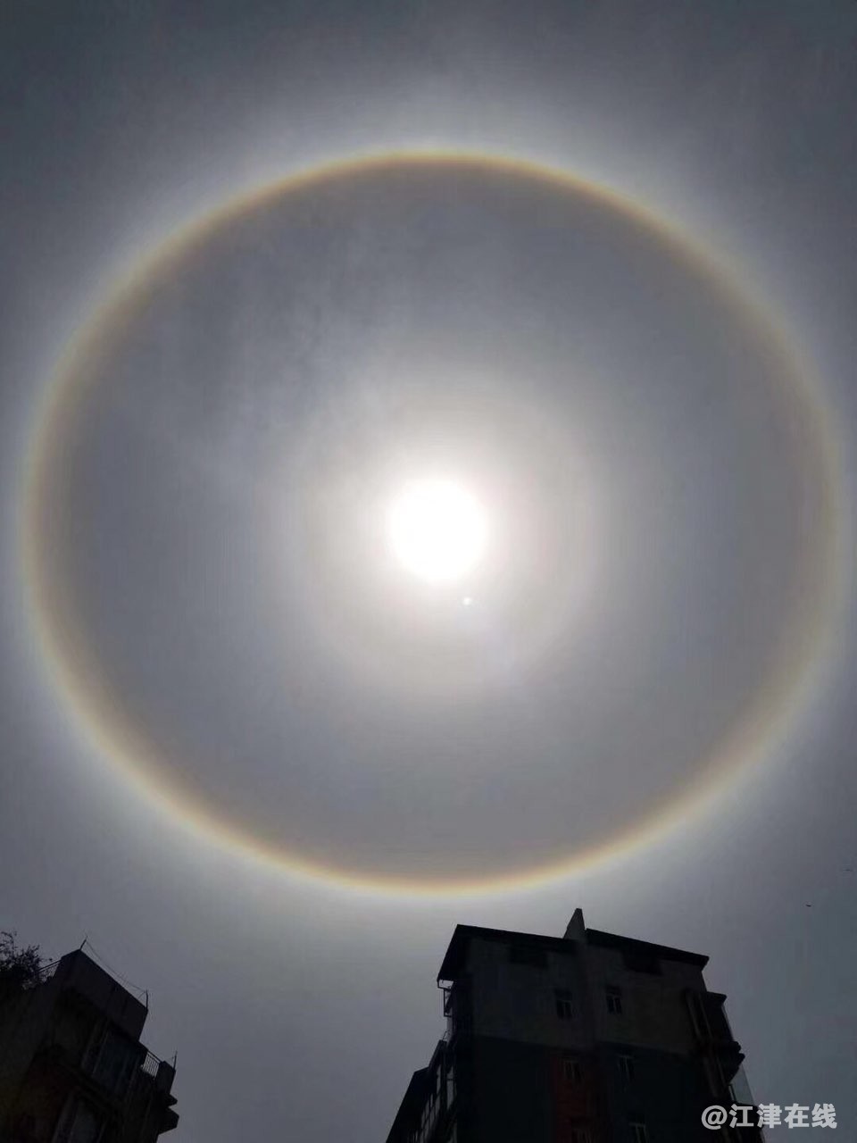 2018051351161526183730786311.jpg