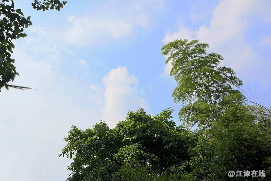 龙井山庄 (3).jpg