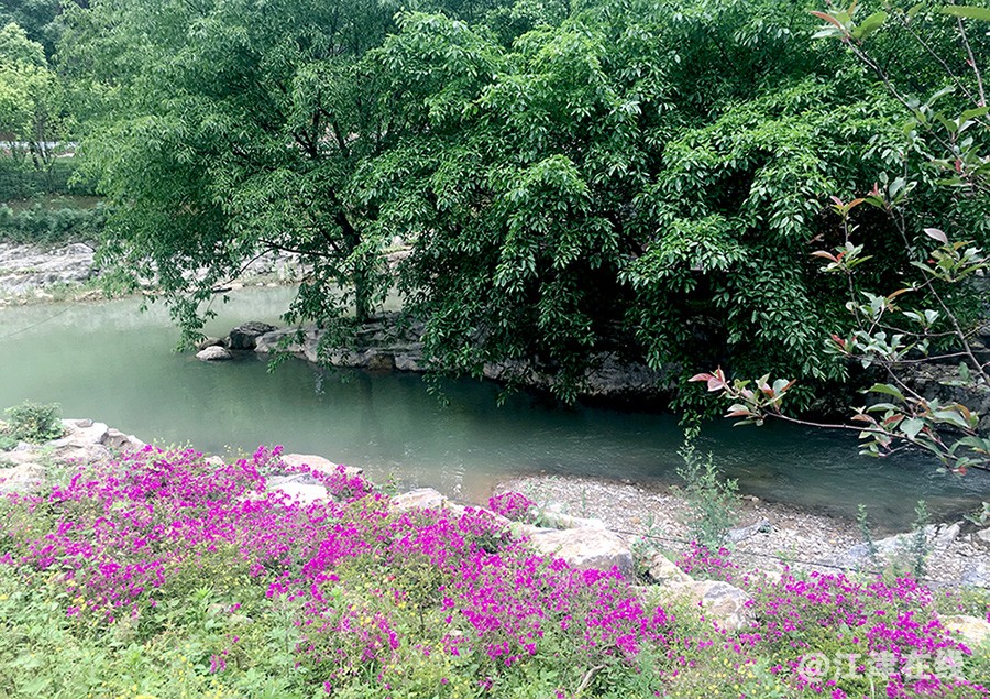 mmexport1525519555495副本.jpg