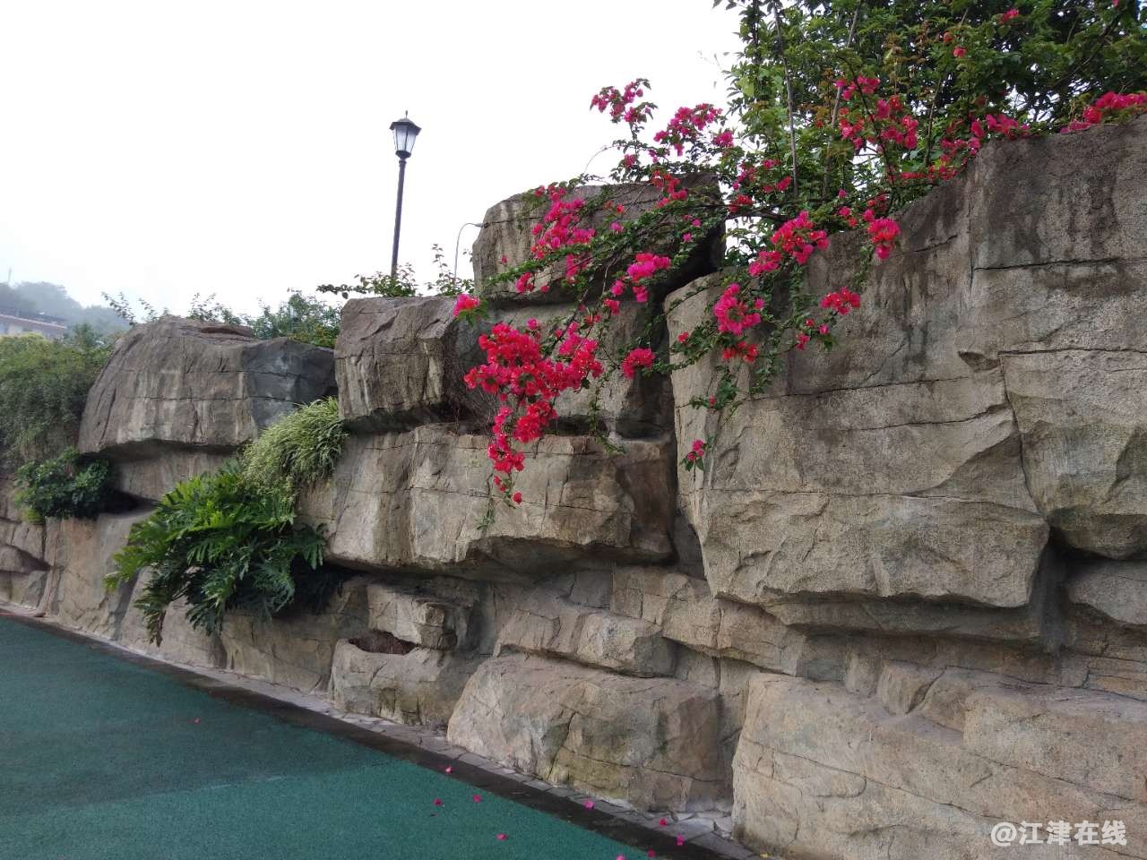 20180514_279879_1526301163107.jpg
