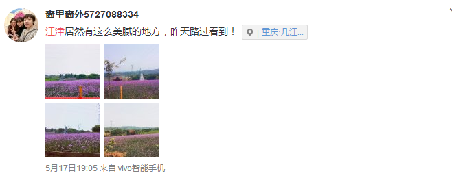 QQ截图20180518093116.png