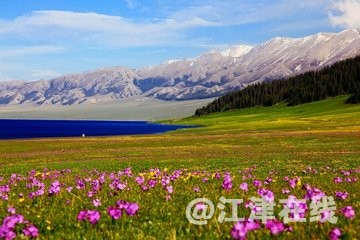 t013de7759762f46f4a.jpg
