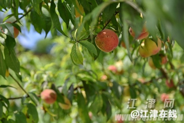 a2d5edbc-fe2d-42a1-9b16-3bbaa269e0c3.jpg