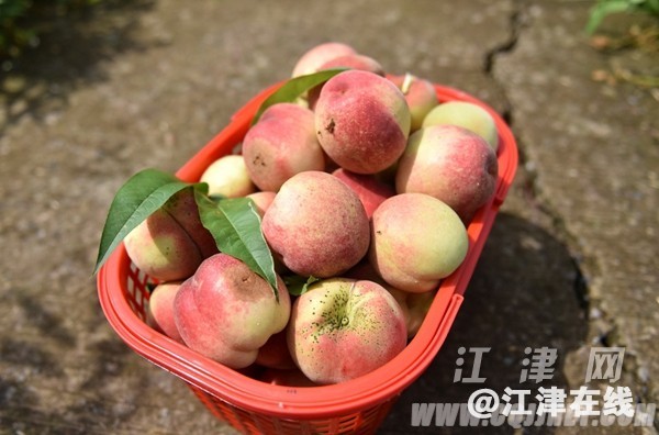 b8556a71-5204-4bc0-95c8-4d7ac9f77ae3.jpg