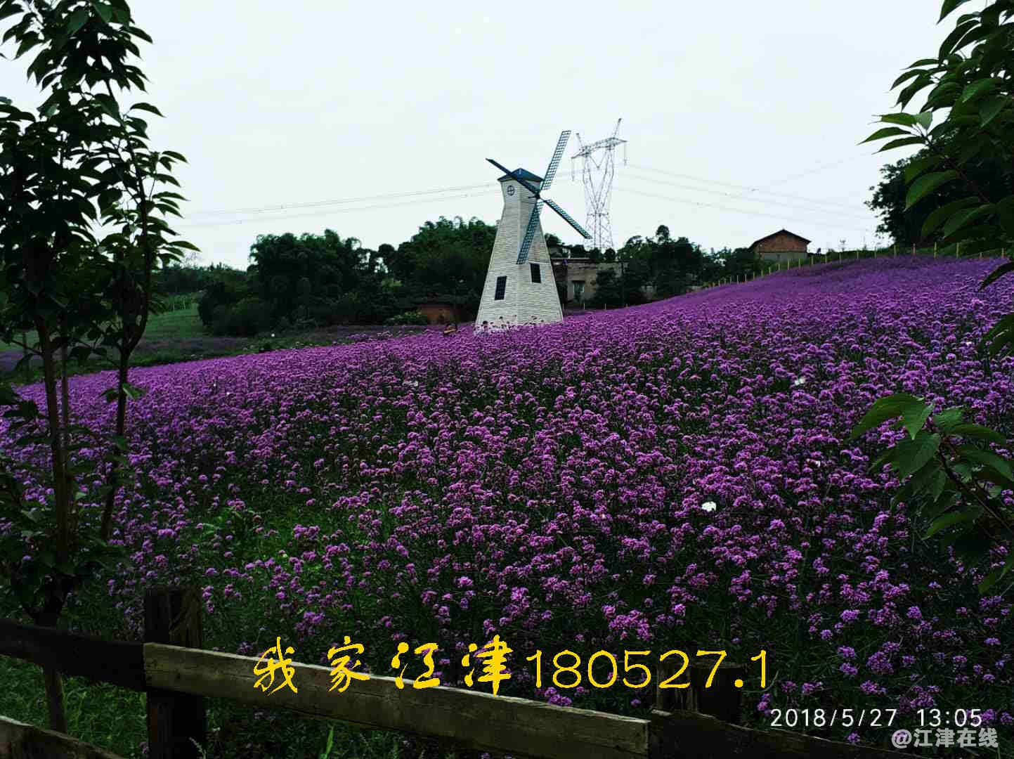 JYZ 20180527 WNT (12).jpg