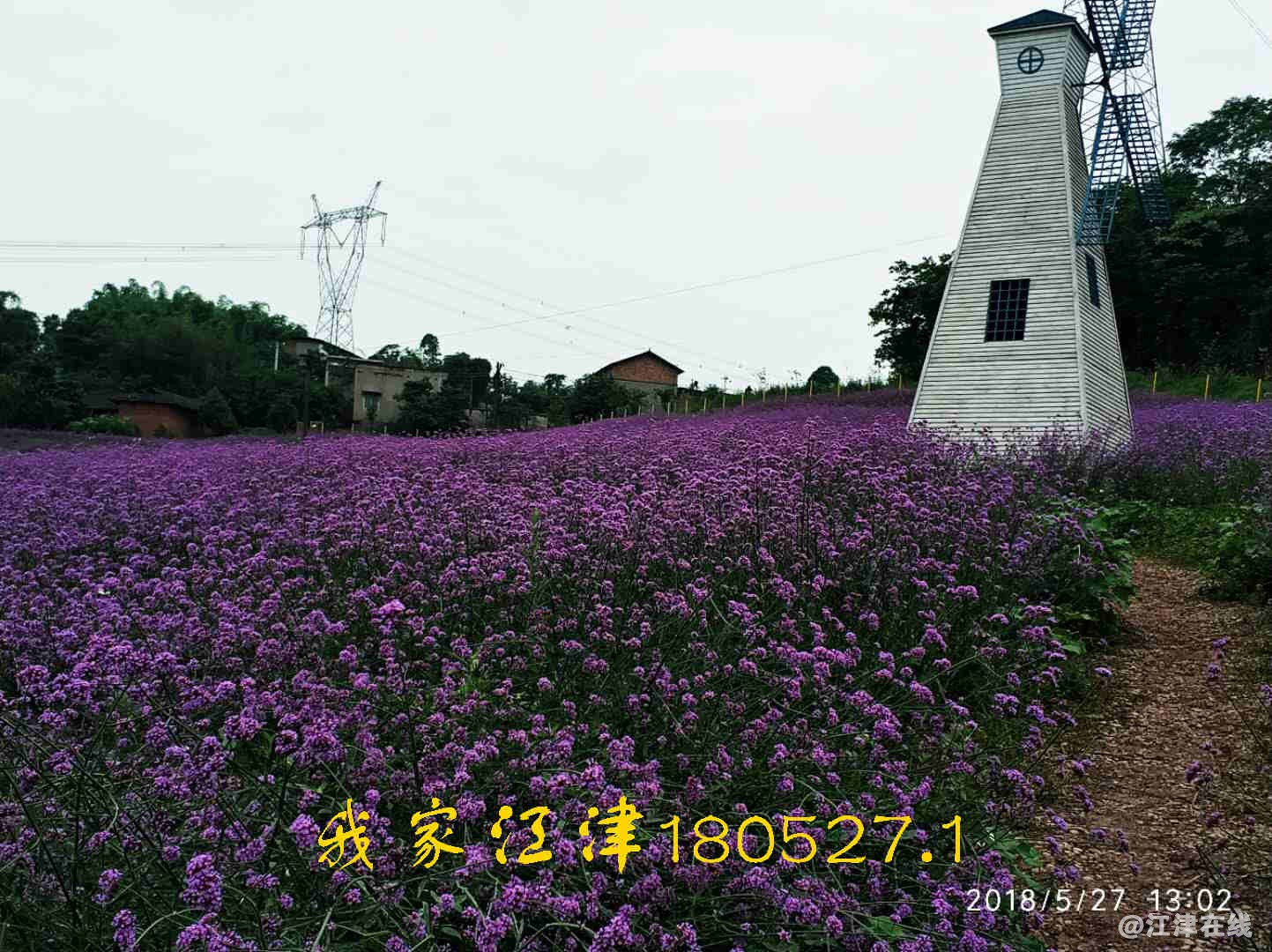 JYZ 20180527 WNT (21).jpg
