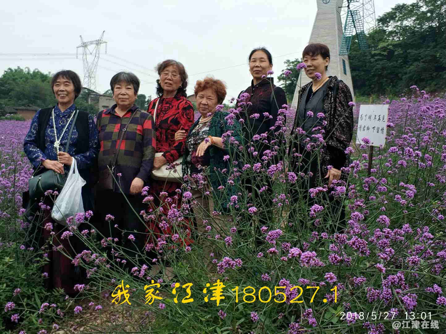 JYZ 20180527 WNT (22).jpg