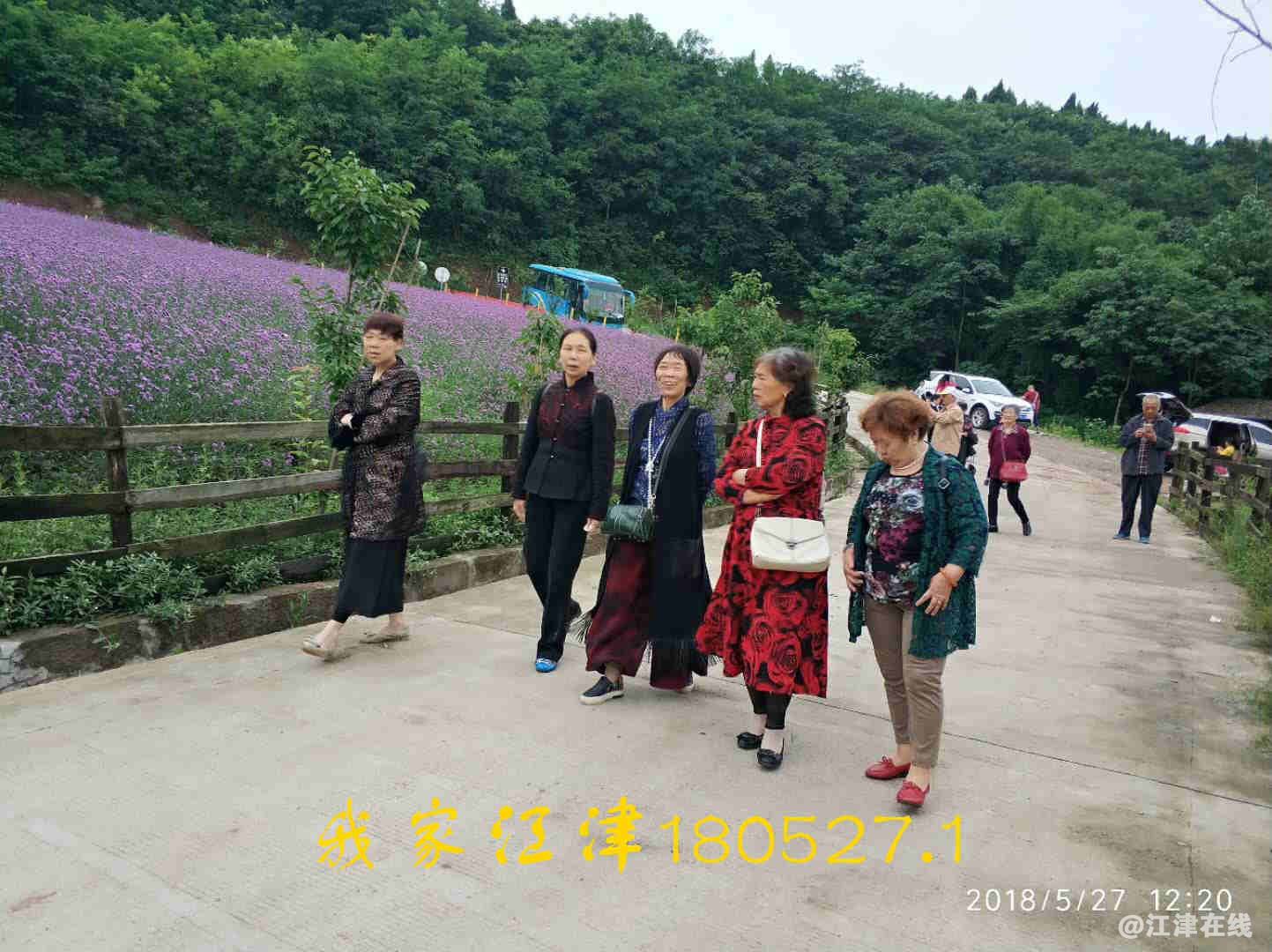 JYZ 20180527 WNT (77).jpg