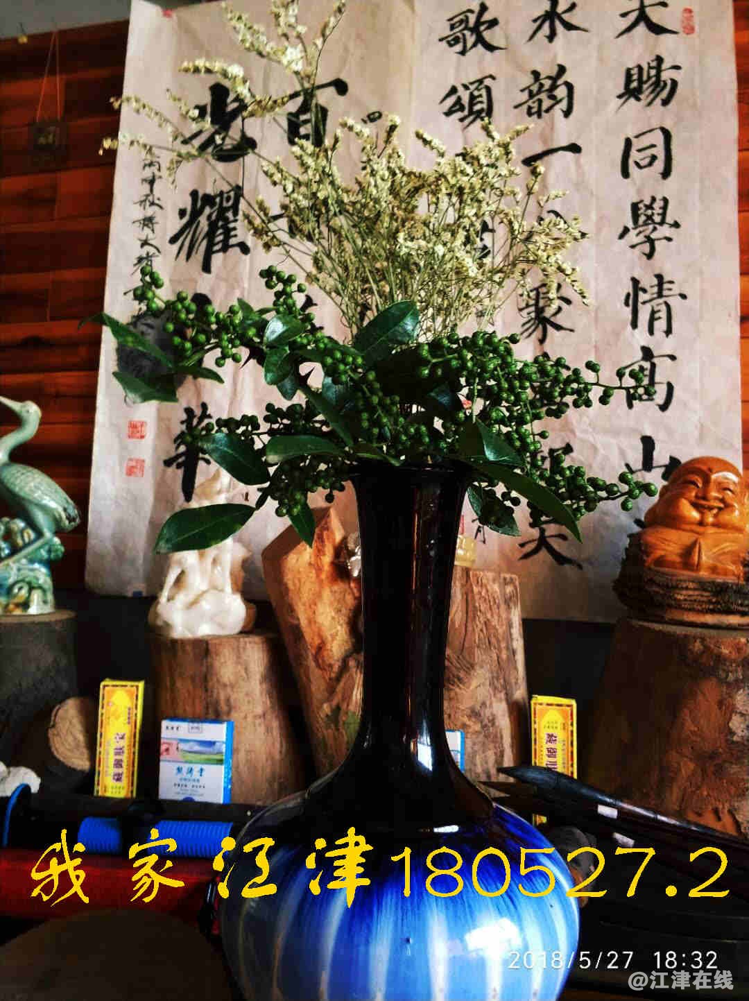 JYZ 20180527 WZTB  (23).jpg