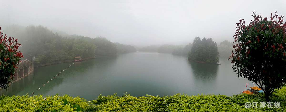 雾雨 (3).jpg