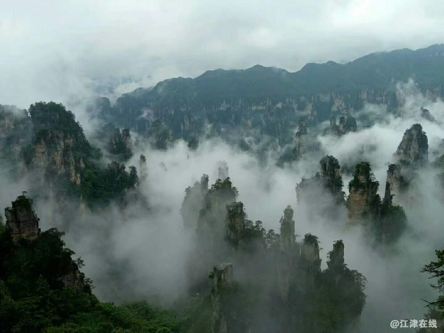 微信图片_20180531134844.jpg