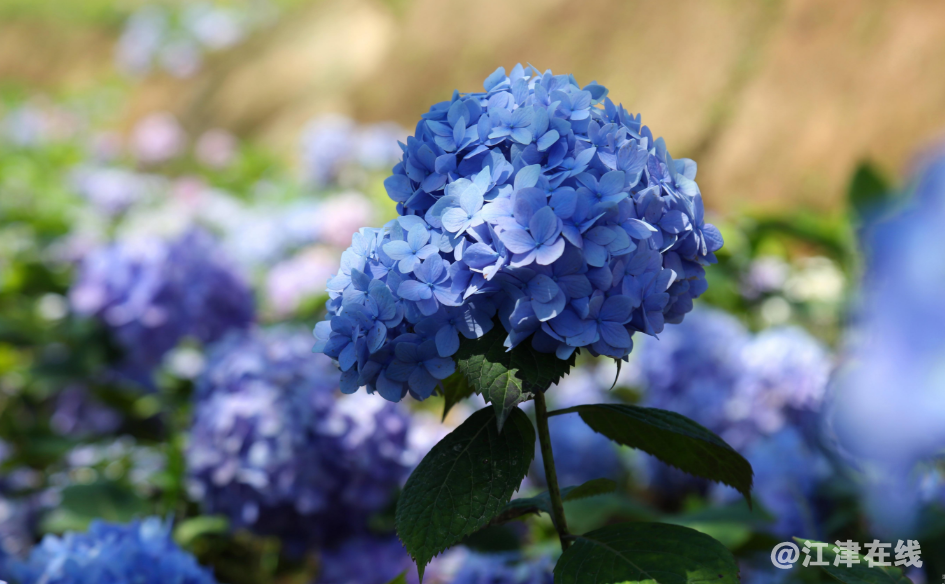 7C412399-F361-433a-9298-3D2ECC29474A.png