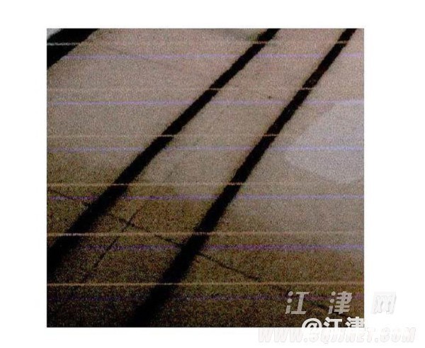 d1233ae7-4568-483d-a3fd-a873ca61a8c0.jpg