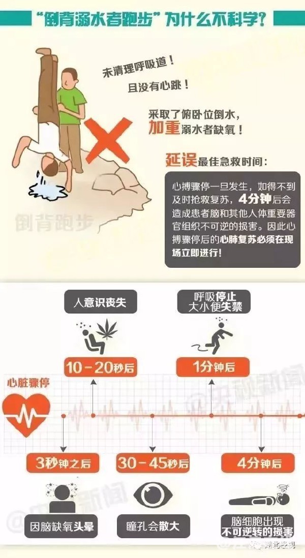 e17f8e20-558d-466a-9cc7-36edf9e7ef20.jpg
