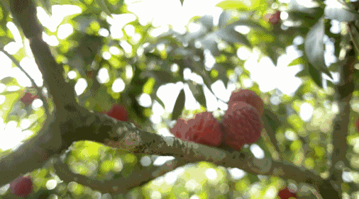 10.gif