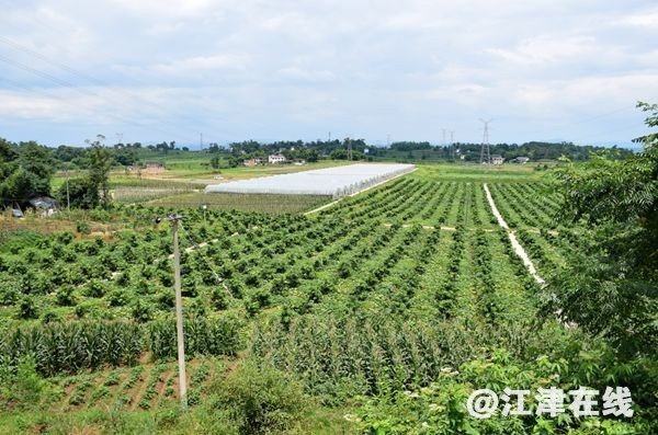 d07501a0-3768-4755-8988-83583df62435.jpg
