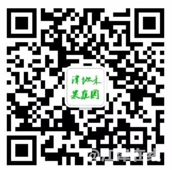419e4f15-c1a1-4cd4-abe2-190d89a6ec78.jpg