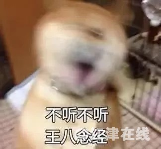 1.webp.jpg