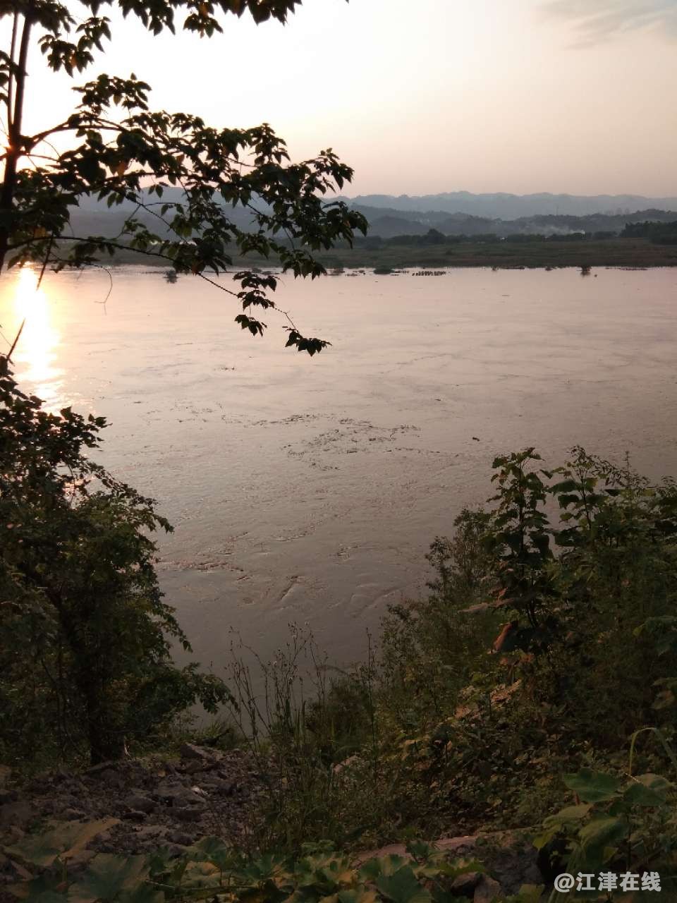 20180714_287863_1531578917675.jpg