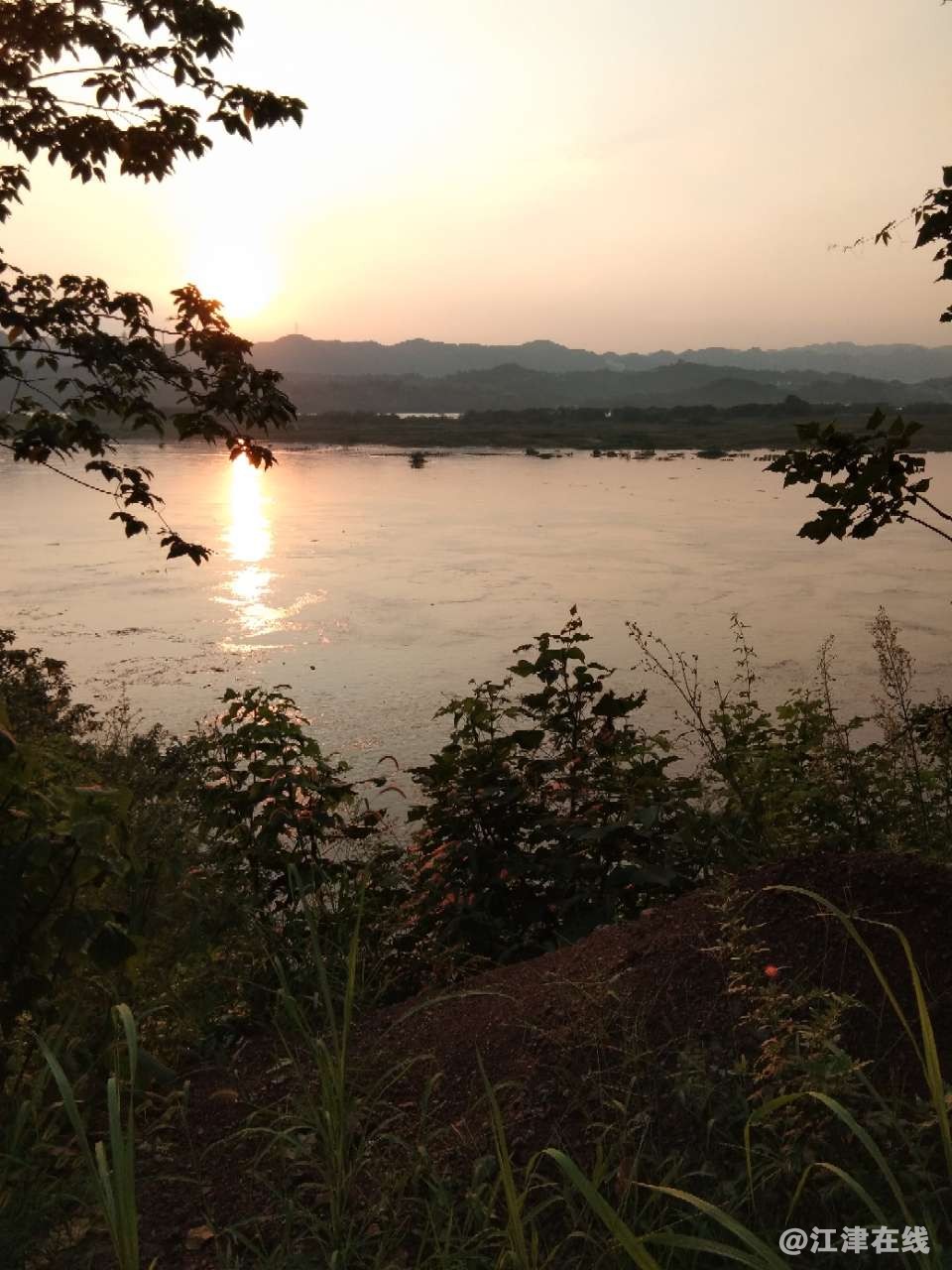 20180714_287863_1531578918131.jpg