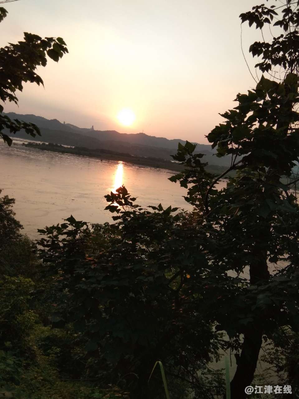 20180714_287863_1531578918569.jpg