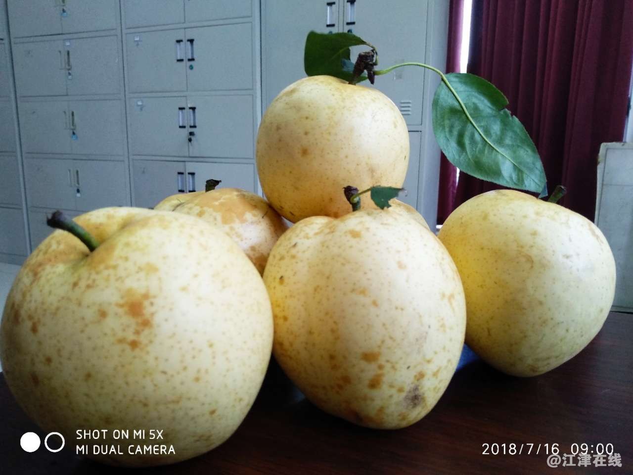 20180716_65865_1531707142249.jpg